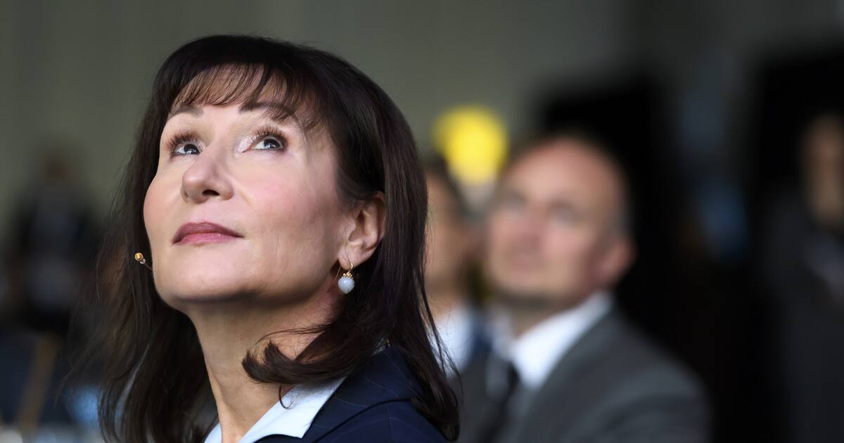 CEO und VRP in einem: Doppelmandate sind en vogue wie Lonza, Sulzer ...