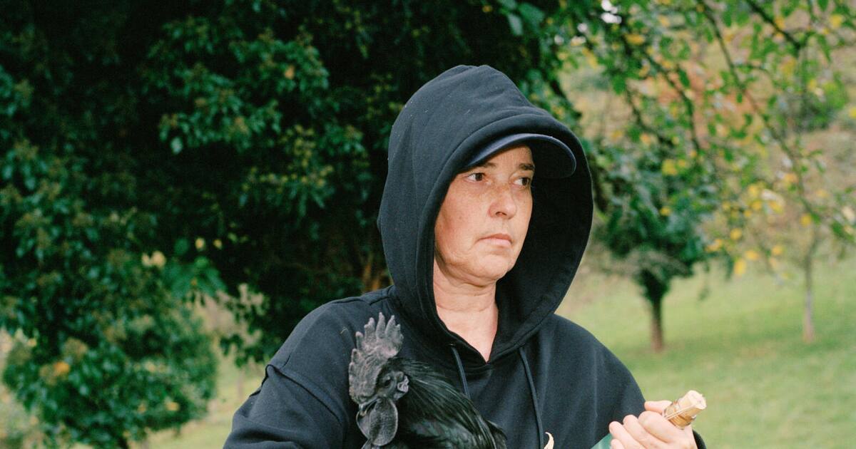Interview Sandra Knecht Home Is a Foreign Place