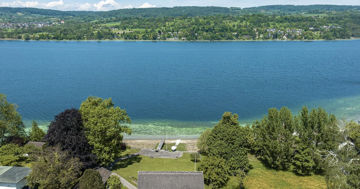 Luxury villa on Lake Constance: Private beach and jetty for 10 million CHF
