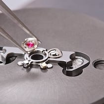 Stossdämpfermechanismus von Incabloc: Klein, fein, unverzichtbar.