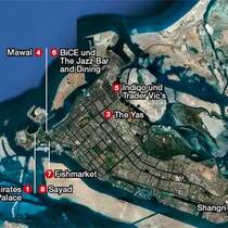 Imported Image