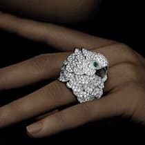 Aus der Versenkung an die Spitze der Top-100-Firmen: Richemont, Hersteller von Uhren, Schmuck und anderen Luxusgütern.
