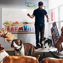 «Bring Your Dog Day» bei Zynga: Der Firmenname geht direkt zurück auf «Zinga», die verstorbene  Bulldogge des Firmengründers.