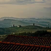 Landschaft des italienischen Langhe-Gebiets, Hauptstadt des Barolo-Weins.