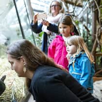 FORSCHUNG «Der Zoo kann ein Sprungbrett für die weiterführende Forschung im Freiland sein», sagt Verhaltensbiologin Barbara König.