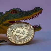 Bitcoin: Auch andere Cyberwährungen gewinnen an Wert.