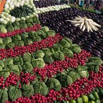 Kohl, Aubergine oder Rüebli: Welches Gemüse macht das Rennen in die Schweizer Küchen?