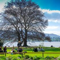 Frühling am Zürichsee: Die Limmatstadt zählt zu den Zentren nachhaltiger Investments.