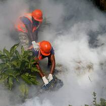 zika-bekampfung.jpg