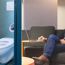 online-shopping-wc-sofa.jpg