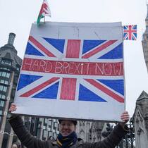 Britischer Demonstrant: Kommt der harte Brexit? Keystone