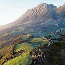 Südafrikanische Postkarten-Idylle: Rebhänge ob Stellenbosch.
