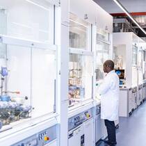 Novartis_Forschung