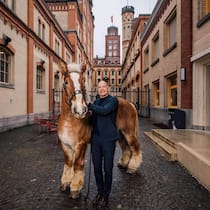 Thomas Amstutz mit Brauereipferd Nico vor dem Turm des Feldschlösschen-Schlosses, der 43 Meter hoch ist.