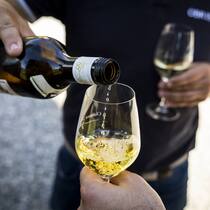 Ist das tägliche Glas Wein wirklich so gefährlich?