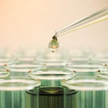 Biotech-Aktien entwickeln sich weiterhin überdurchschnittlich gut, selbst nach der Rallye im letzten Jahr.