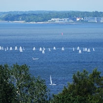 Ein Land kleines an der Ostsee erhält die Gold-Medaille im Ranking der Auswanderer-Paradiese.