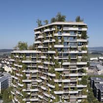 So könnte in der Zukunft gebaut werden: Das Wohnhaus Aglaya in Rotkreuz ZG kühlt durch seine helle Fassade und Rundumbegrünung.
