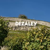 Der Schriftzug wie in Hollywood, die Rebterrassen halsbrecherisch steil: Das Dézaley gehört zu den Spitzenregionen des Schweizer Weinbaus und ist das ideale Terroir für hervorragenden Chasselas.