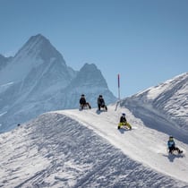 In Grindelwald befindet sich die längste Schlittelpiste – weltweit.