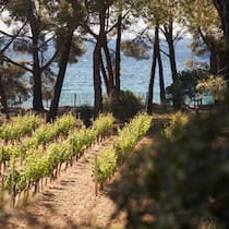 Domaines Ott Clos Mireille