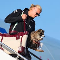 Erling Braut Haaland landet in Oslo nach der WM in den USA: Der Fussballstar trägt dabei eine neue Tasche von Dolce&Gabbana und einen präparierten Waschbären. 