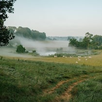 Bruton, Frome oder Mells gelten als «places to be» für trendbewusste Briten.