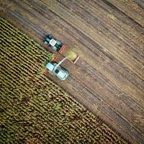Landwirtschaft_Feld_Bauer
