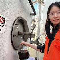Erstautorin der Tannin-Studie, Yanxin Lin, bei einer Probenentnahme. Das Forscherteam analysierten den Tanningehalt von 22 Rot- und 20 Weissweinen im Rahmen der Studie.