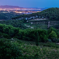 Das Anbaugebiet Bandol in Südfrankreich ist eine Mourvèdre-Hochburg. Die Sorte liefert hier Stoff für gehaltvolle Rosés und kräftige, aber elegante Rotweine.