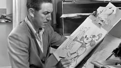 Walt Disney tüftelt an einer neuen Figur.
