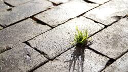 Impact Investing: Soll anders als Philanthropie auch einen Ertrag einbringen.