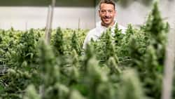 Von Coca-Cola zu Cannabis: Marry-Jane-CEO Rico Üslük ist ein Konsumgüterprofi. Er war lange Manager beim US-Konzern Coca-Cola.