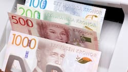 Schwedische Banknoten in einer Notenzählmaschine.