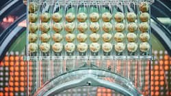 Lottoziehung von Swisslos: Um alle Kombinationen zu spielen und somit den Jackpot auf sicher zu haben, bräuchte es 15,5 Millionen Lottoscheine.