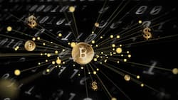 Bitcoin_Krypto_imago images 0504613427