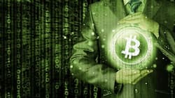 Der dramatische Wertzuwachs von Bitcoin hat viele ins Grübeln gebracht.