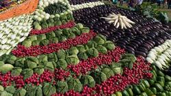 Kohl, Aubergine oder Rüebli: Welches Gemüse macht das Rennen in die Schweizer Küchen?