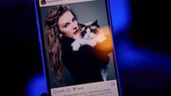 Taylor Swift als «Childless Cat Lady»: Mit diesem Instagram-Post gab die Musikerin ihre Unterstützung für Kamala Harris als Präsidentschaftskandidatin bekannt.