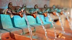wasserspeier_dividende_ausschüttung