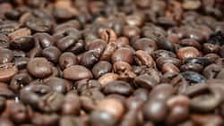 kaffee_bohnen_geroestet_pixabay