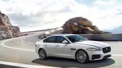 jaguar.jpg