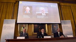 Nobelpreiskomitee: Nobels Nachlassverwalter agieren immer risikanter.
