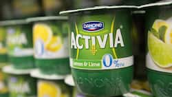 Danone: Seit 2009 haben die Aktien des französischen Konzerns 60 Prozent zugelegt.  Keystone