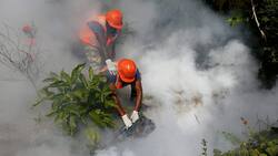 zika-bekampfung.jpg