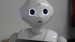 Roboter: Die Branche zeigt sich skeptisch über die neue Funktion (Symbolbild).  Pixabay