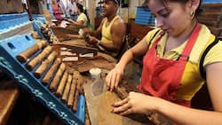 Rollt den Rubel in die Taschen der Aktionäre von Imperial Tobacco: Kubanische Zigarren.Keystone