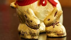 Schoggi-Osterhasen:  In diesem Geschäft sind Schweizer Firmen stark. Pixabay