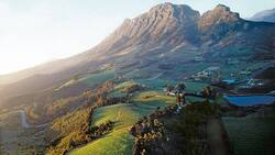Südafrikanische Postkarten-Idylle: Rebhänge ob Stellenbosch.