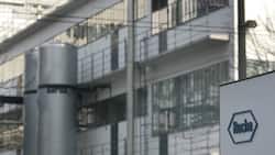 Roche zählt zu den vielversprechendsten Aktien.  Keystone